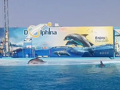 Дельфинарий