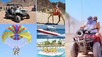 Мега Сафари