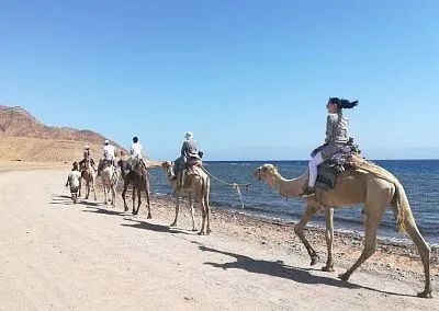 Дахаб дискавери 4 в 1